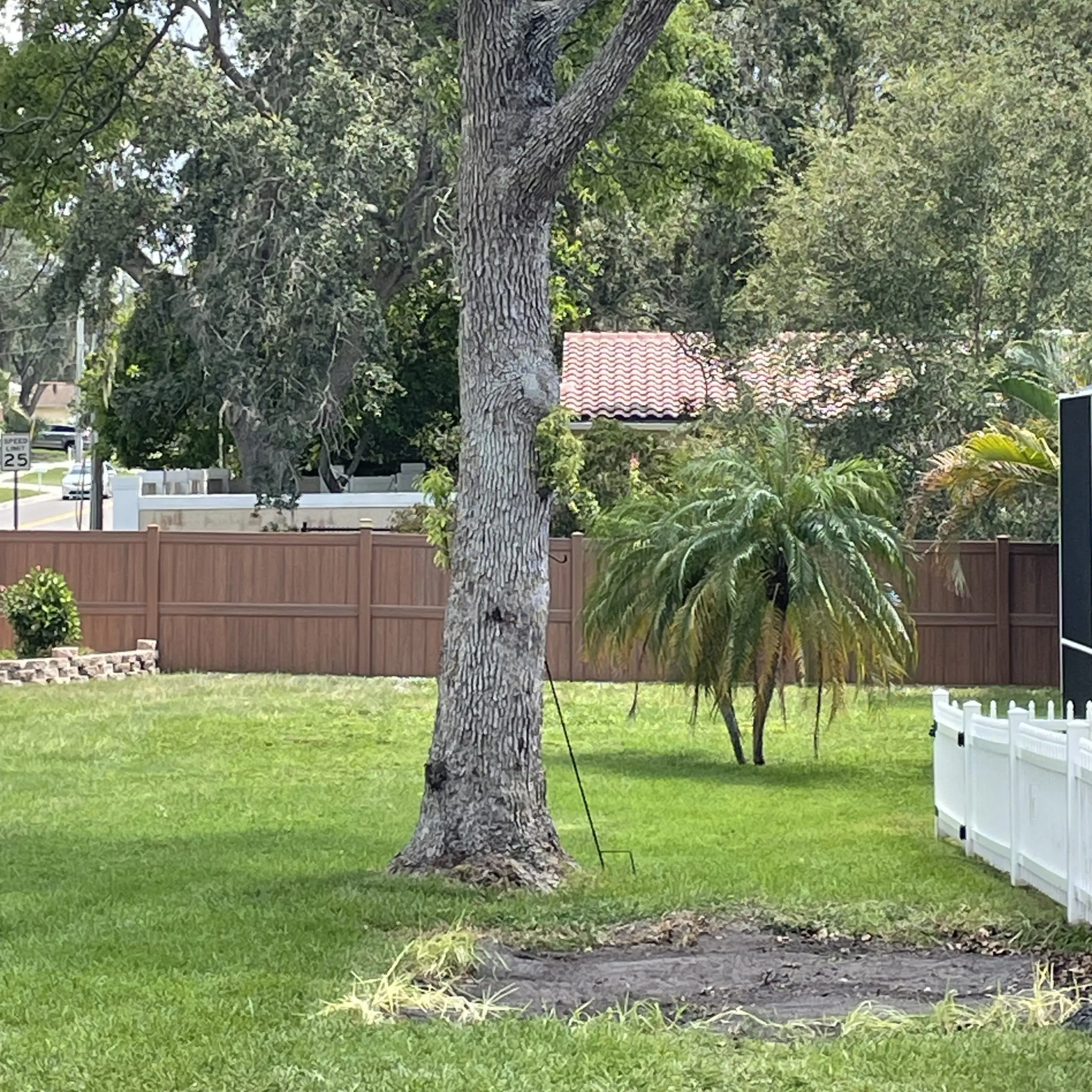 Shed Removal After